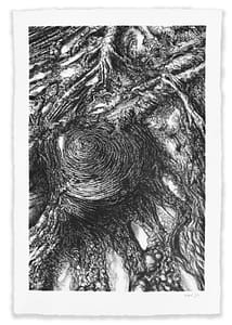 The-Indifferent-Hunger-of-The-Sea_Charcoal on paper