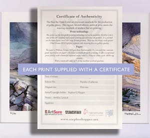 Certificate of Authenticity of a Hopper landscape print