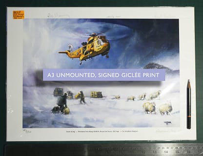 A3 RAF SeaKing print